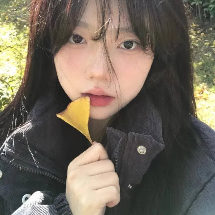 回响 在线观看